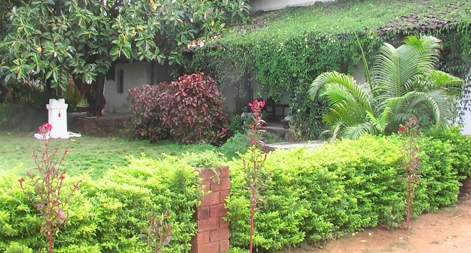 J Farms, Durg 3